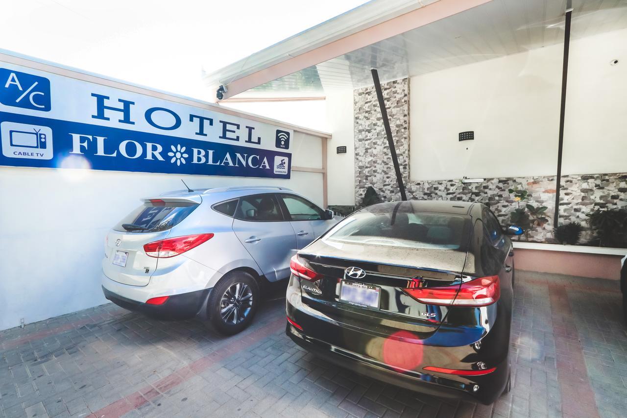 Hotel Flor Blanca マヌエル・アントニオ エクステリア 写真